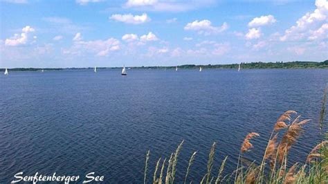 tui ferienhaus am see|Ferienhäuser & Ferienwohnungen am Senftenberger See